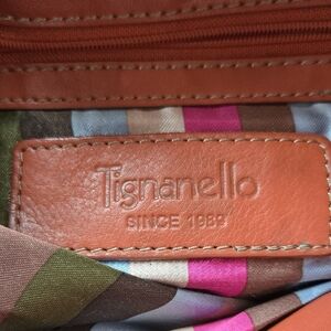 Tignanello Multicolor Striped Leather Hobo Bag